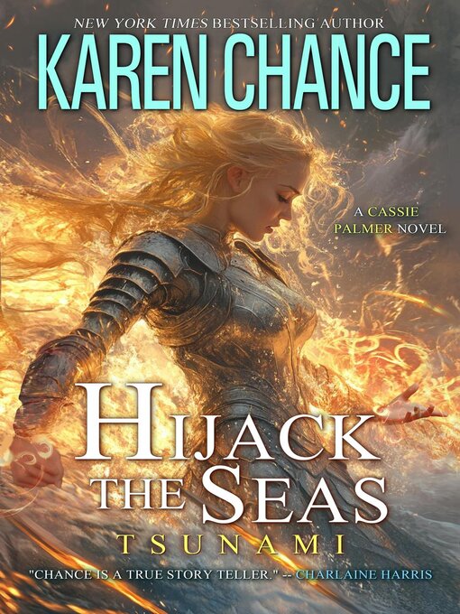 Cover image for Hijack the Seas